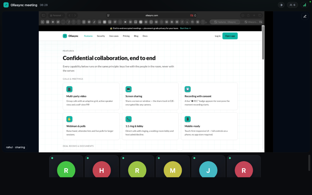 Screen share preview